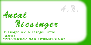 antal nicsinger business card